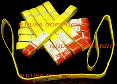 TEN 10ea EE2-902 x 6ft 2 Ply Polyester Web Lifting Sling 2″x6′ Lifting Tow Strap