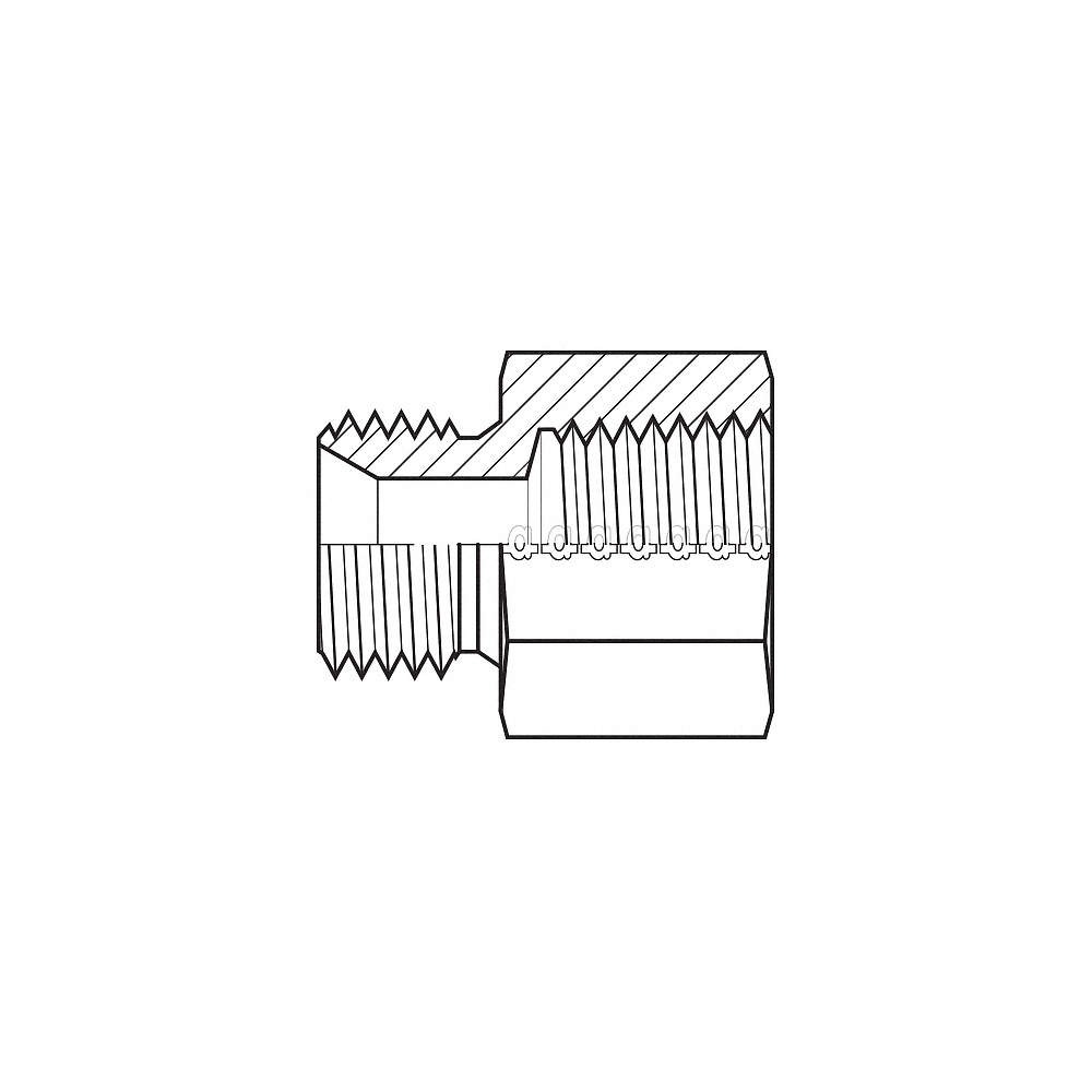 ADAPTALL 9035-0808 Hose Adapter,1/2″,BSPP,1/2″,NPT 55DT60