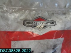 BRIGGS AND STRATTON 596666-ARRESTOR SPARK 047282121511